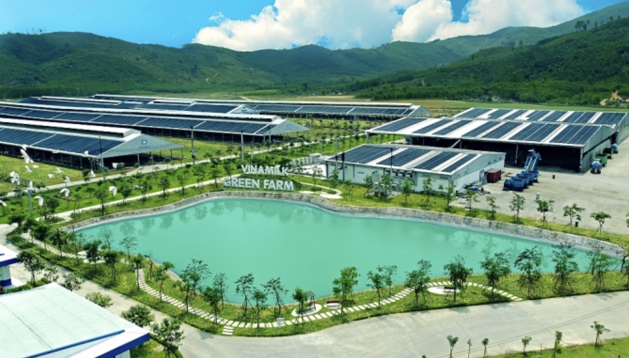 Đầu tư ESG: Thế giới đang sôi sục, nhà đầu tư Việt đã hiểu đến đâu?