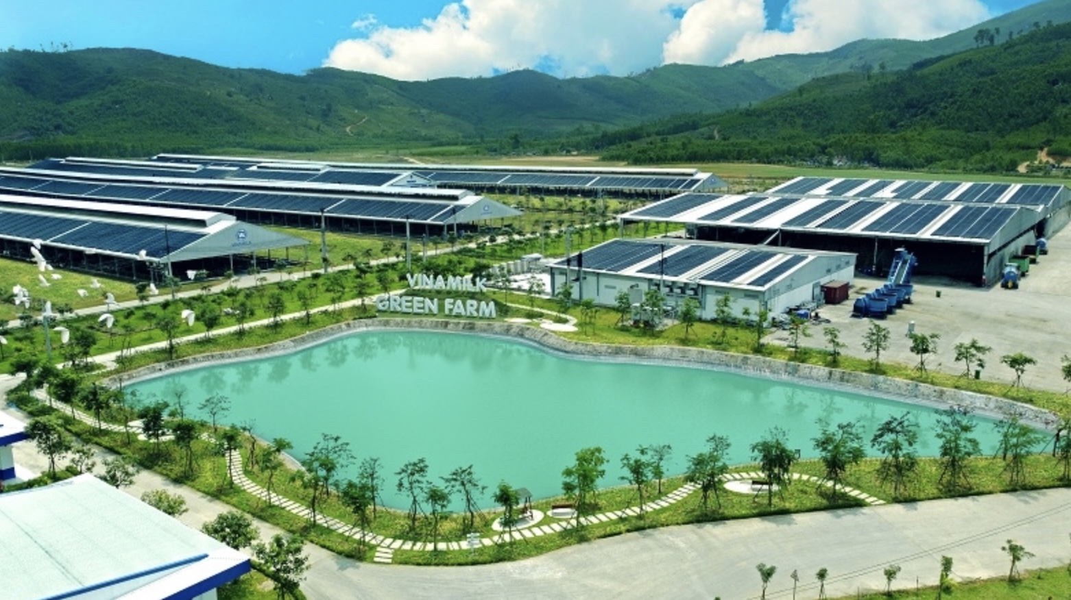 Trang trại sinh thái Vinamilk Green Farm được chăn nuôi mô hình nông nghiệp công nghệ cao vận hành theo kinh tế tuần hoàn khép kín