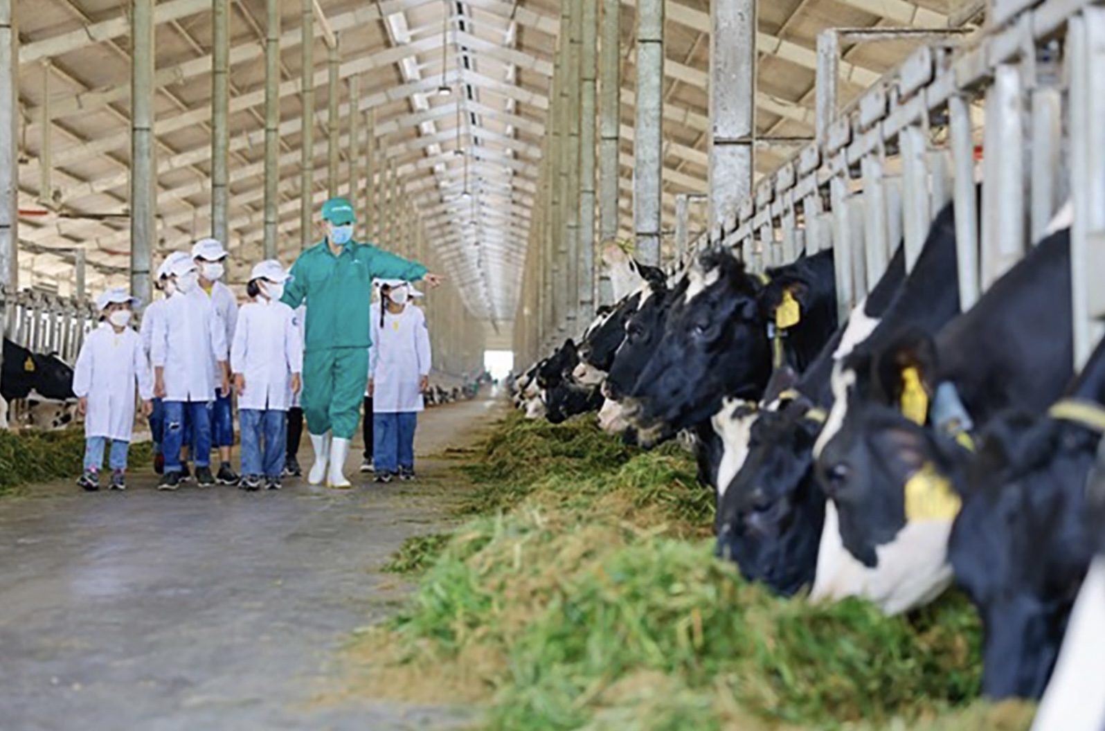 Các em thiếu nhi tại Trung tâm bảo trợ Quảng Ngãi đến thăm trang trại Vinamilk Green Farm Quảng Ngãi, một hoạt động trong chương trình Quỹ sữa 2022
