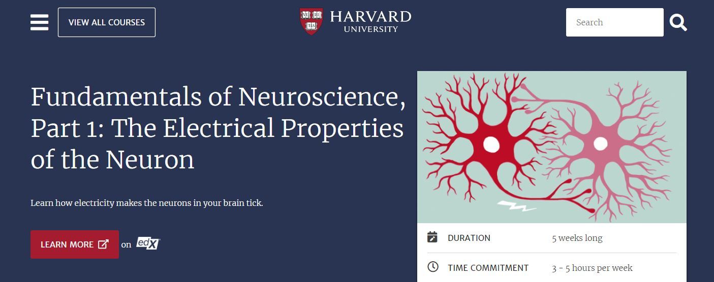 Ảnh chụp màn hình Khóa học Cơ bản về Khoa học Thần kinh Miễn phí của Harvard Phần 1 Tính chất Điện của Khóa học Nơ-ron