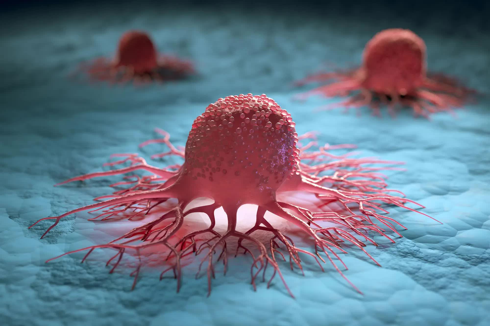 Khám phá ecDNA đột phá có thể cách mạng hóa nghiên cứu ung thư Breakthrough ecDNA discovery could revolutionize cancer research