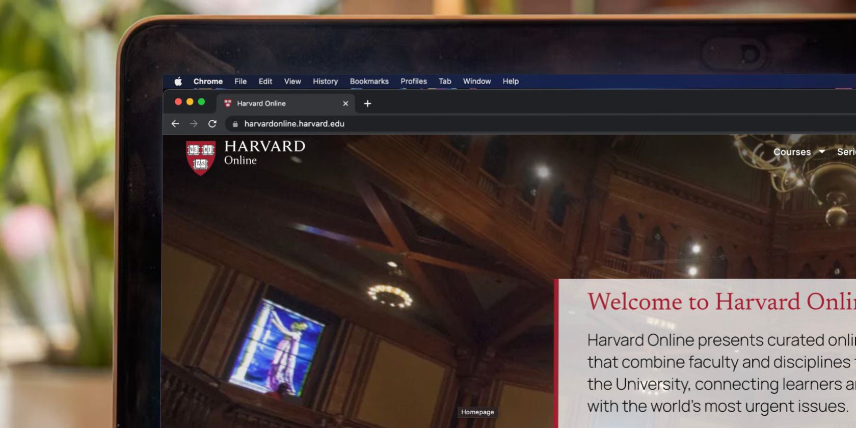 Harvard Online platform open on MacBook