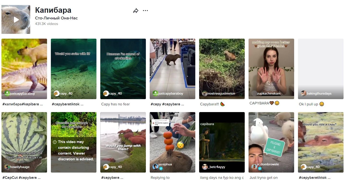 Âm thanh của Capybara trên TikTok