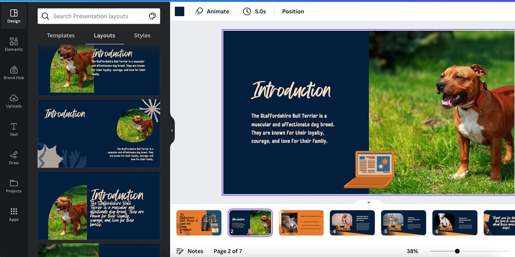 Tính năng bố cục và kiểu Canva