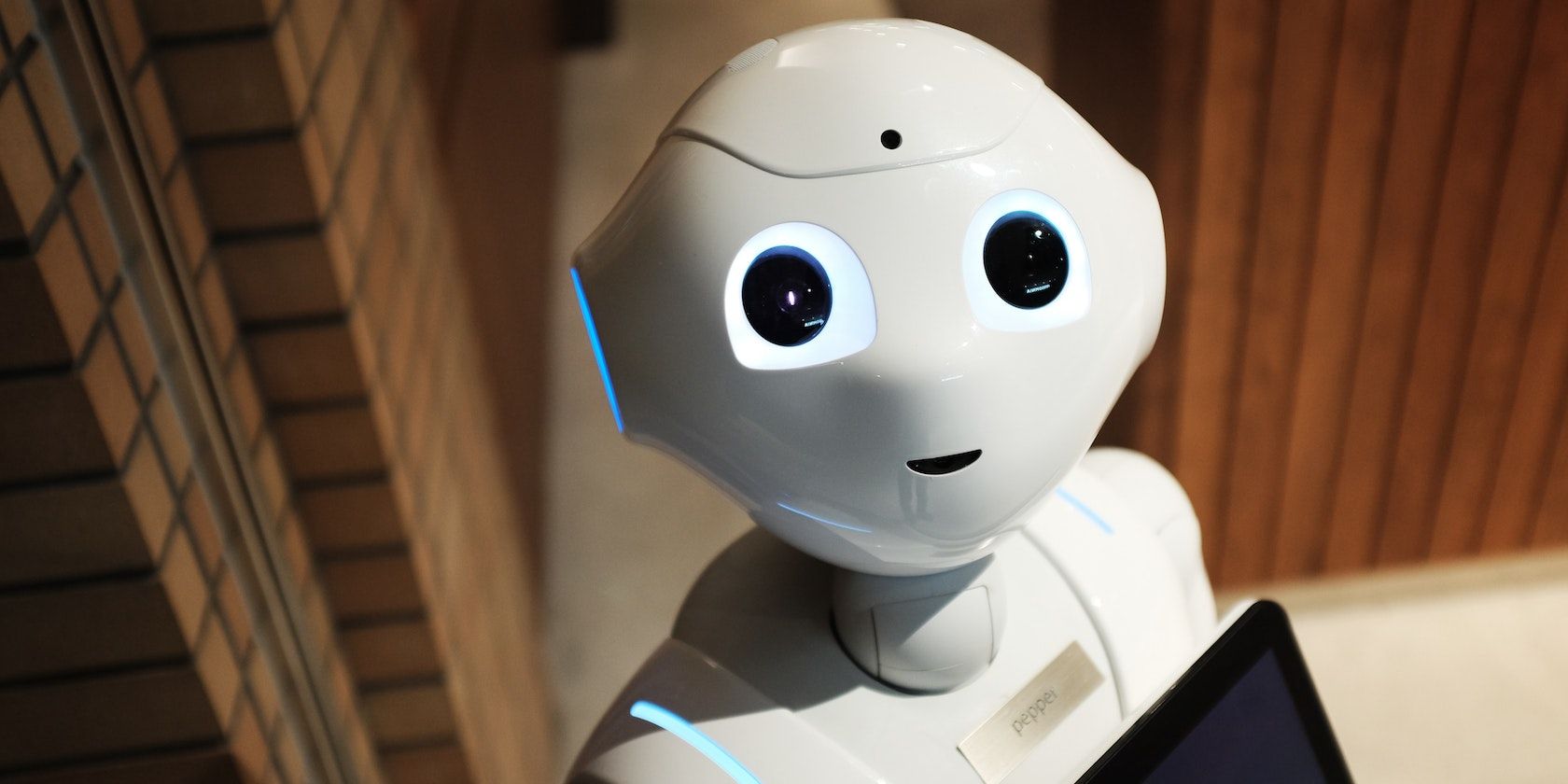High-Angle Photo of Robot
