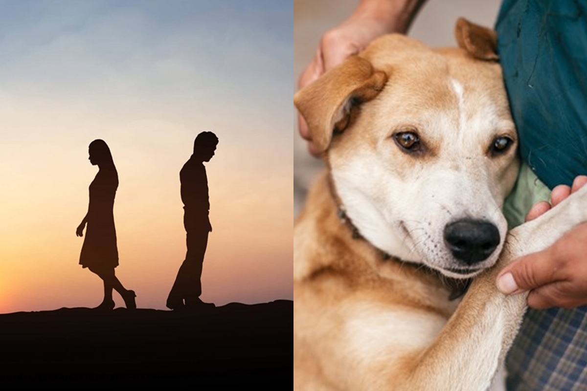 Cô gái hủy hôn sau 2 ngày chỉ vì bị chó cắn gãy chân