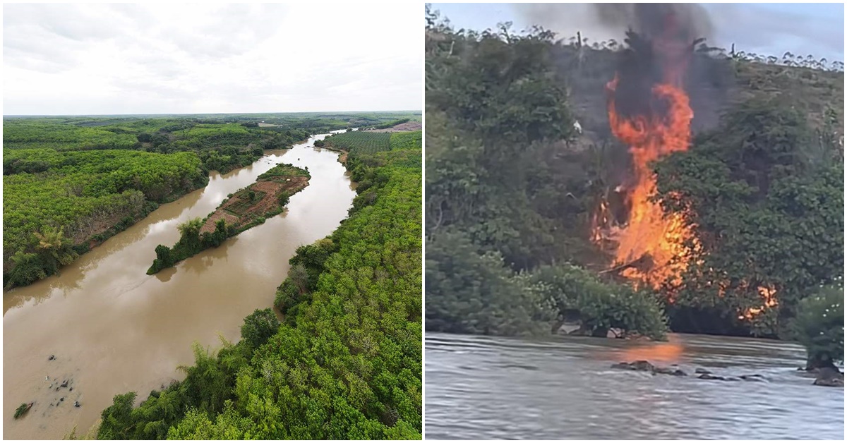 Nhóm thanh niên đốt rác rồi bỏ đi, gây cháy lớn khu du lịch sinh thái ở Bình Dương