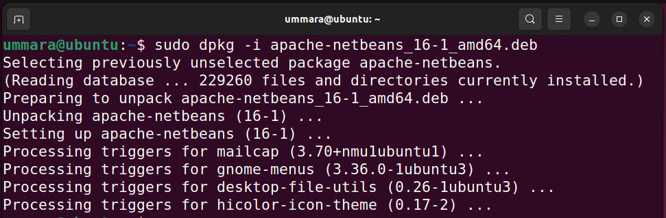 Cài đặt NetBeans qua dpkg