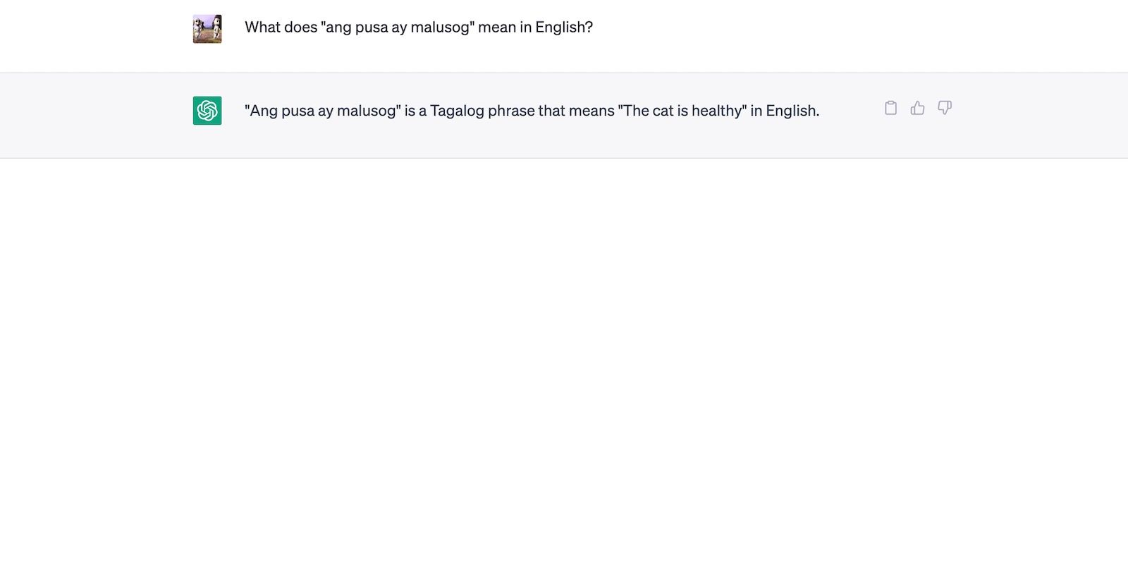 ChatGPT dịch Tagalog sang tiếng Anh chính xác