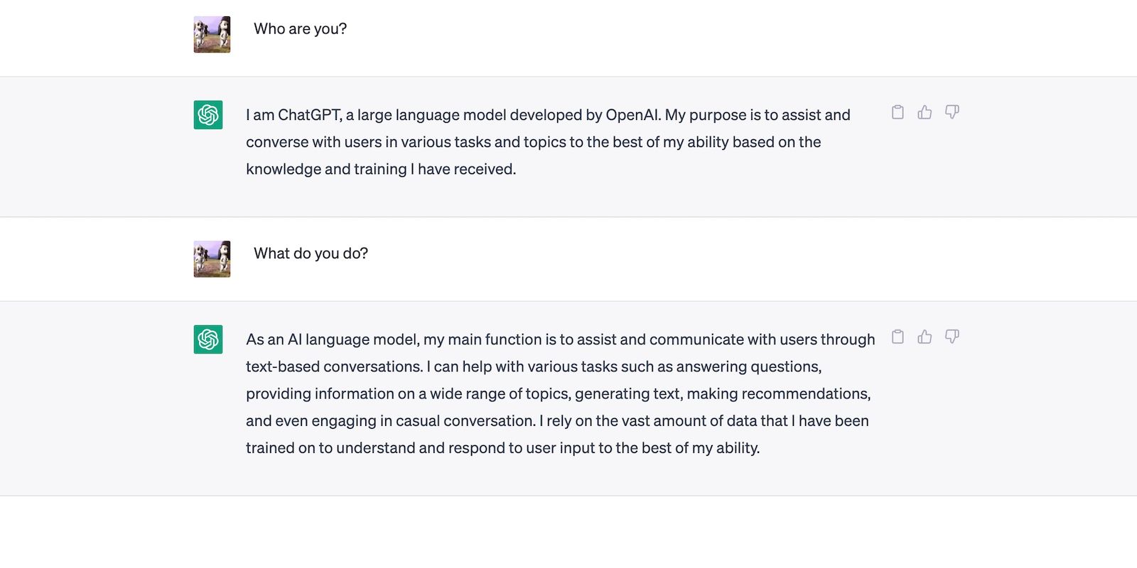 Yêu cầu ChatGPT nói về chính nó