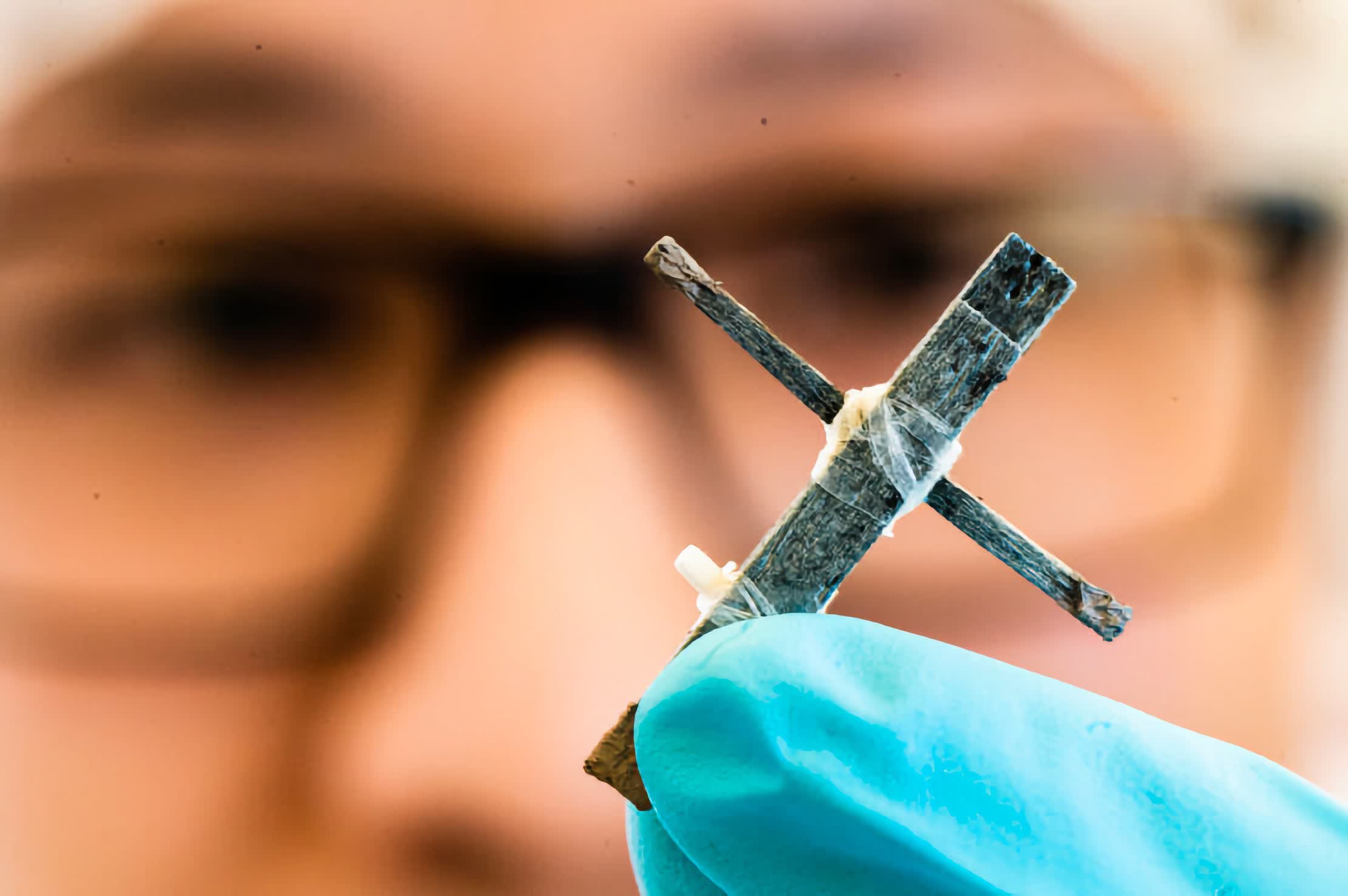 Các nhà khoa học tạo ra bóng bán dẫn bằng gỗ chạy ở tần số khoảng 1Hz Scientists create wood transistor that runs at about 1Hz