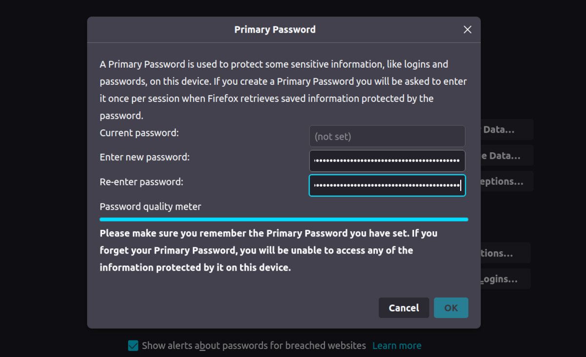 Cách đặt mật khẩu chính trong firefox