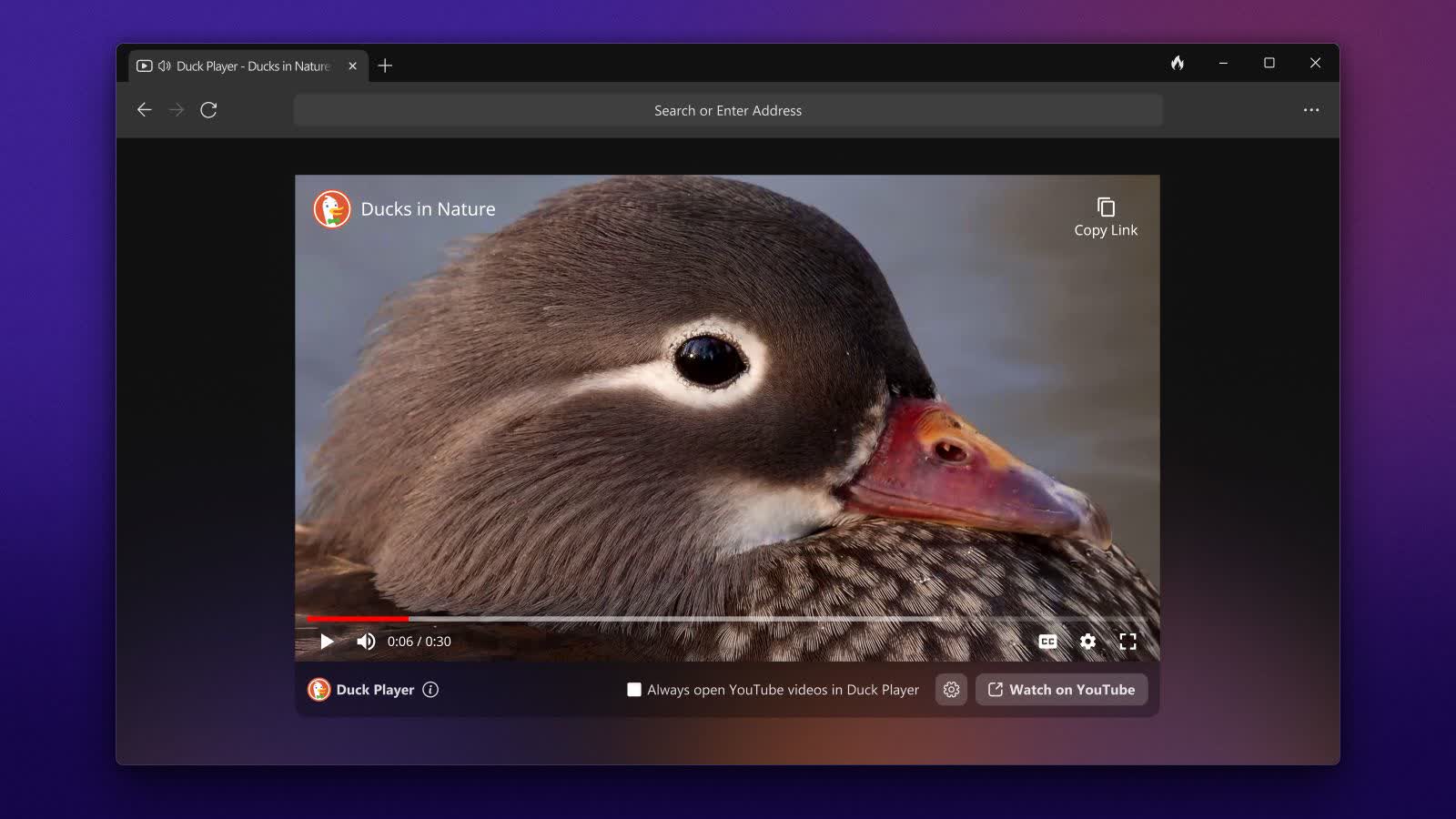 Tai xuong trinh duyet DuckDuckGo 51610 TechTimes Vietnam Tải xuống trình duyệt DuckDuckGo - 5.161.0