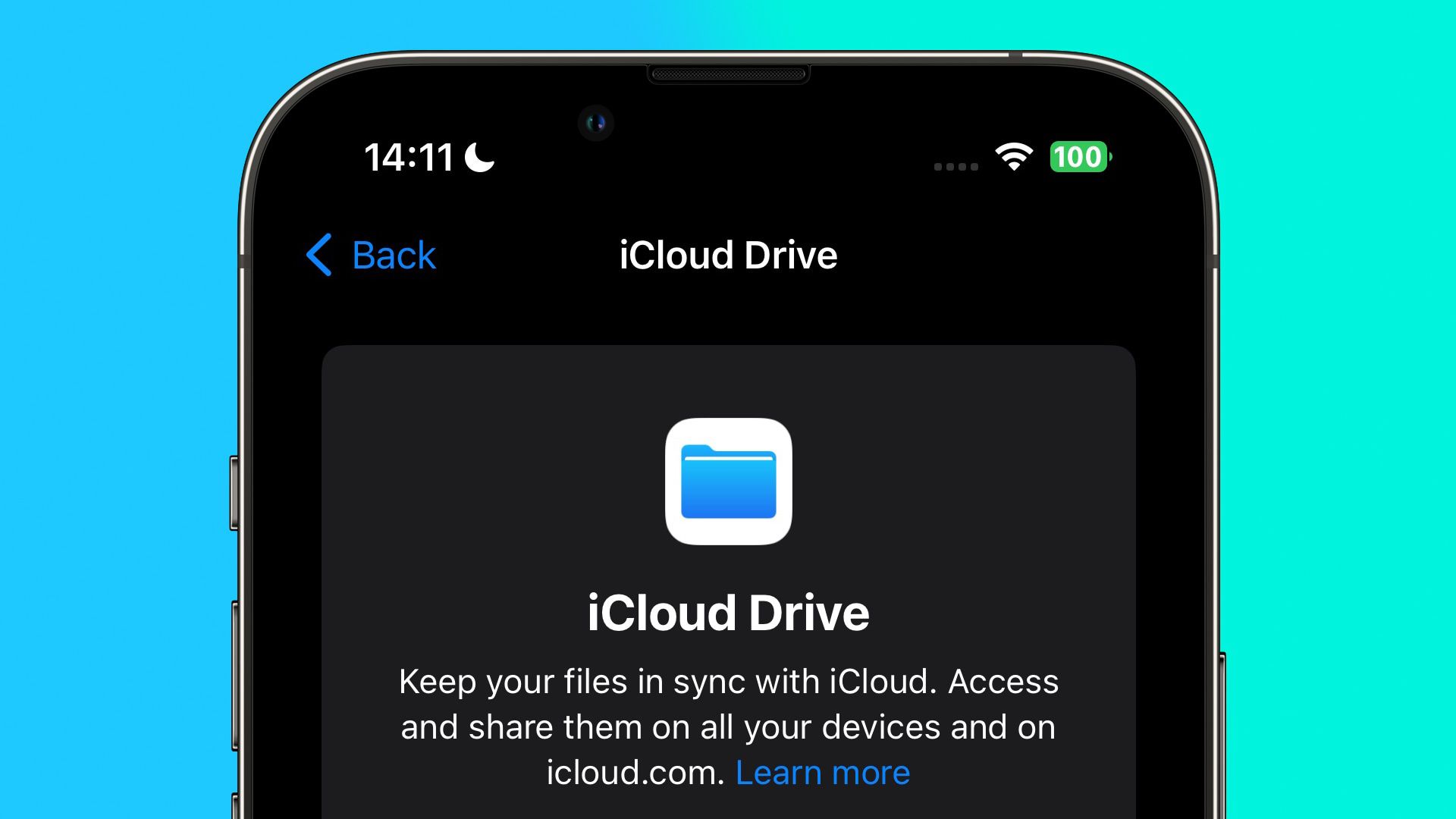 PSA: Vô hiệu hóa iCloud Drive trong iOS 17 Không còn Tắt Đồng bộ hóa CloudKit của ứng dụng bên thứ ba