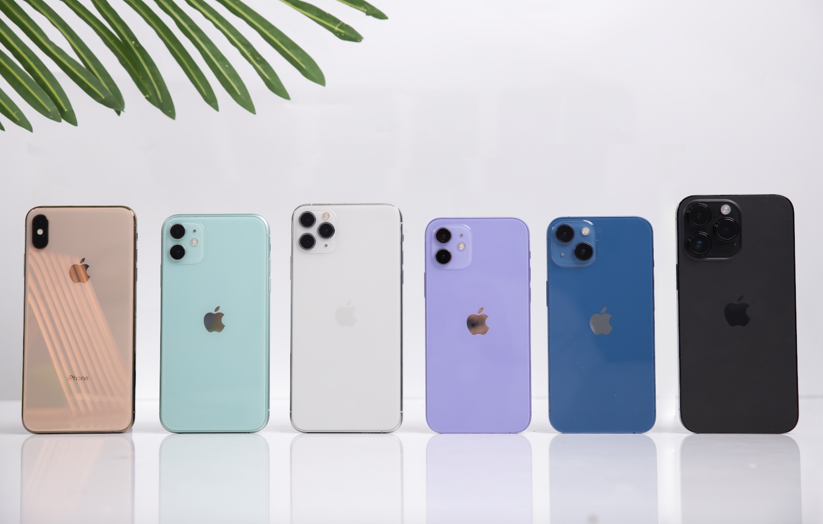 Bảng giá iPhone cũ tại Di Động Việt đầu tháng 6/2023