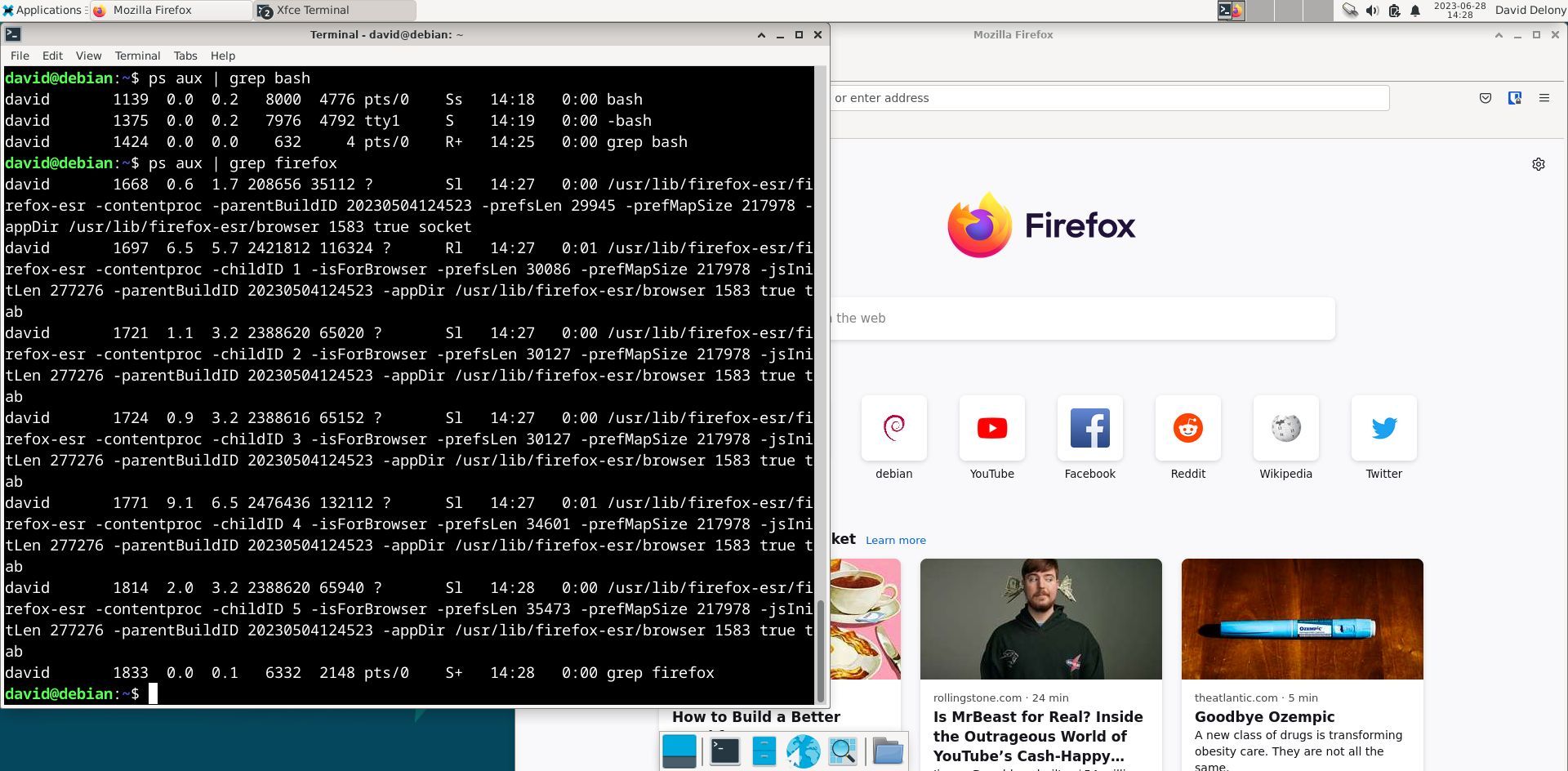 Firefox với thiết bị đầu cuối cho thấy nó đã được khởi chạy mà không có thiết bị đầu cuối kiểm soát