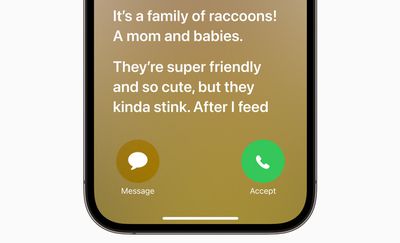 Thư thoại trực tiếp iOS 17