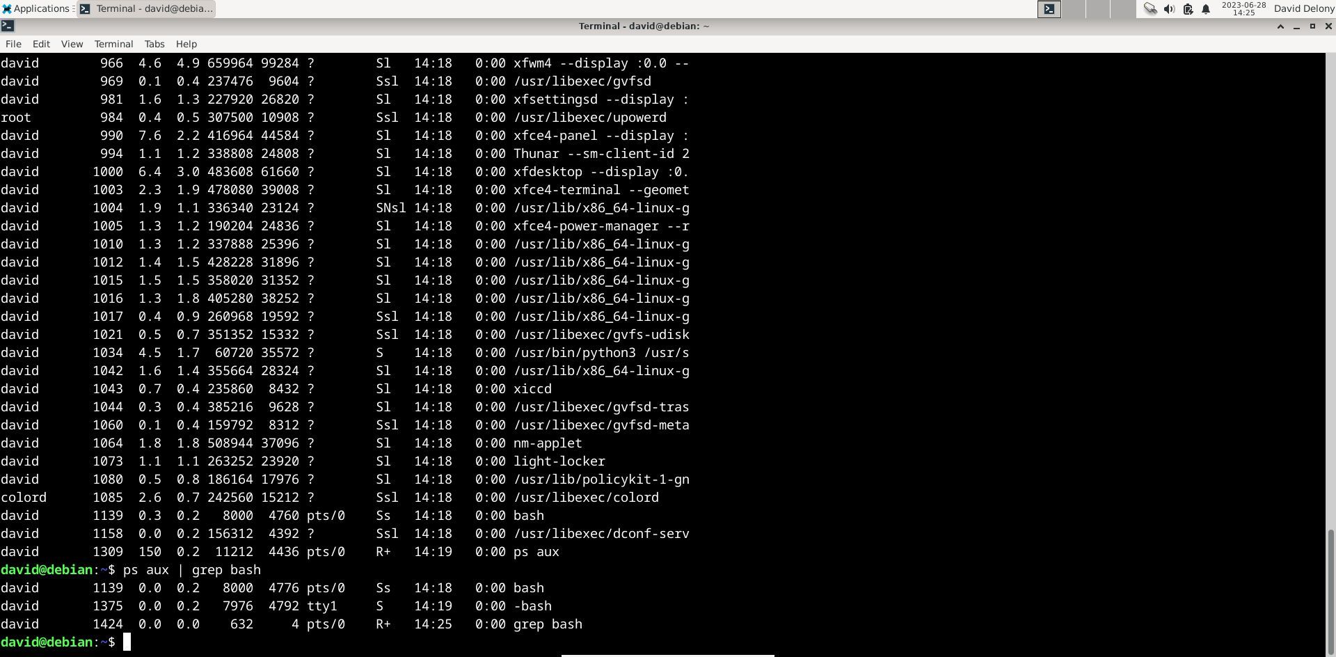 đầu ra ps hiển thị các quy trình với các thiết bị đầu cuối điều khiển