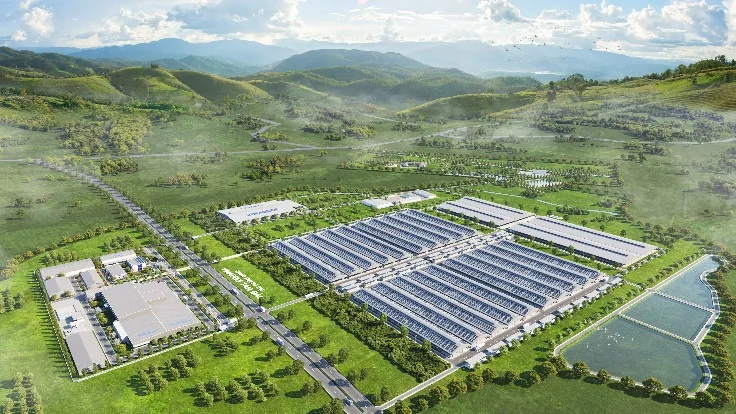 Đi tìm chất lượng lợi nhuận của ông lớn ngành sữa - Ảnh 7.