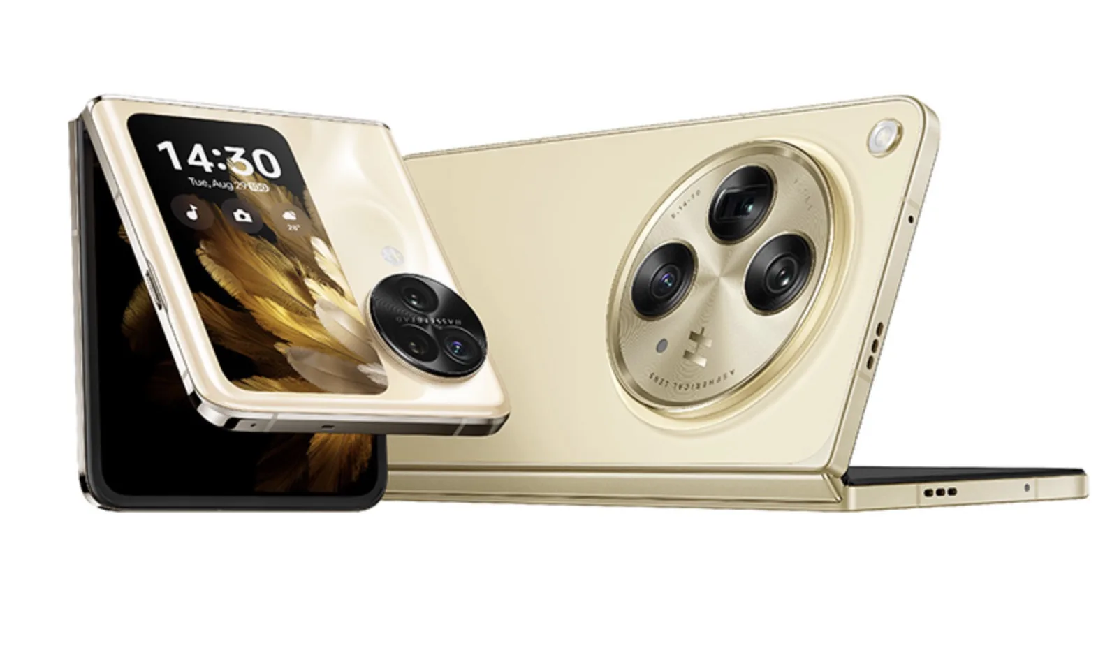 Camera siêu rộng 48MP của Find N3 mạnh mẽ và đa năng. Cảm biến của nó lớn hơn 100% so với cảm biến siêu rộng trên các điện thoại màn hình gập hàng đầu khác