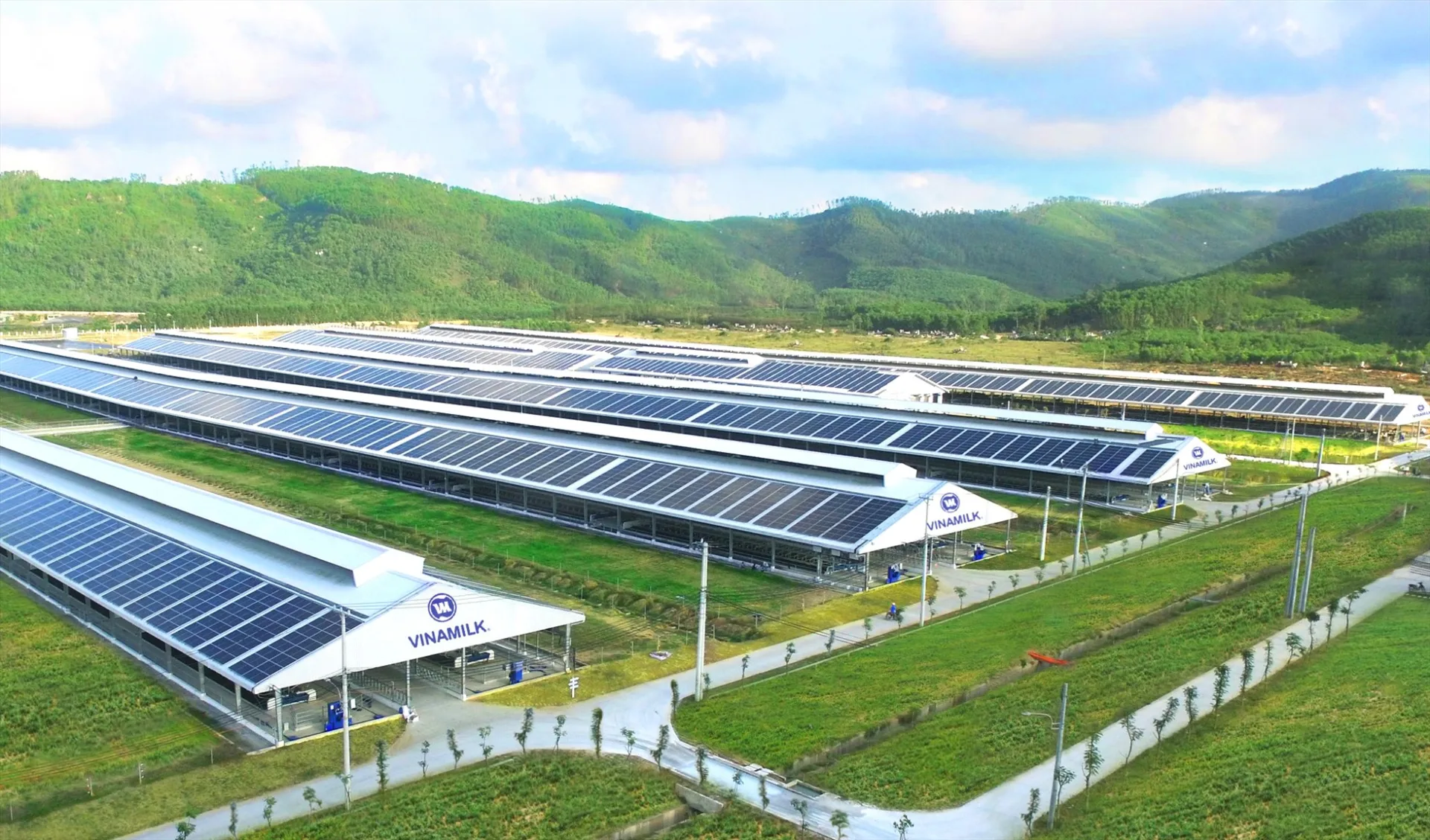 Giảm thiểu “dấu chân” carbon trong sản xuất tại doanh nghiệp sữa lớn nhất Việt Nam TechTimes Vietnam image 240 TechTimes Vietnam Giảm thiểu “dấu chân” carbon trong sản xuất tại doanh nghiệp sữa lớn nhất Việt Nam