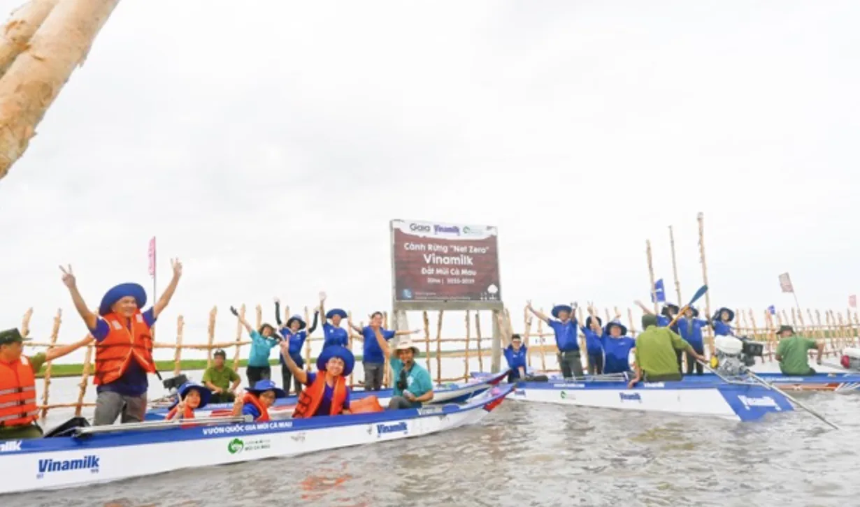 Khu vực khoanh nuôi tái sinh rừng ngập mặn có diện tích 25ha do Vinamilk, Gaia chung tay thực hiện tại vùng lõi Vườn Quốc gia Mũi Cà Mau. (Nguồn: Vinamilk/Gaia/Vietnam+)