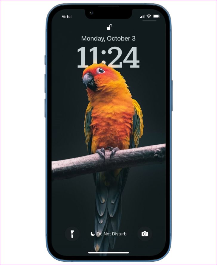 My Image 24