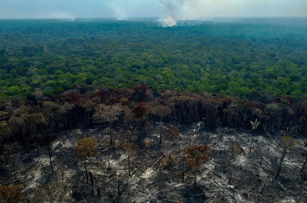 amazon deforestation study reveals its alarming impact on global warming climate change jpg TechTimes Vietnam Phá rừng Amazon: Nghiên cứu tiết lộ tác động đáng báo động của nó đối với sự nóng lên toàn cầu và biến đổi khí hậu