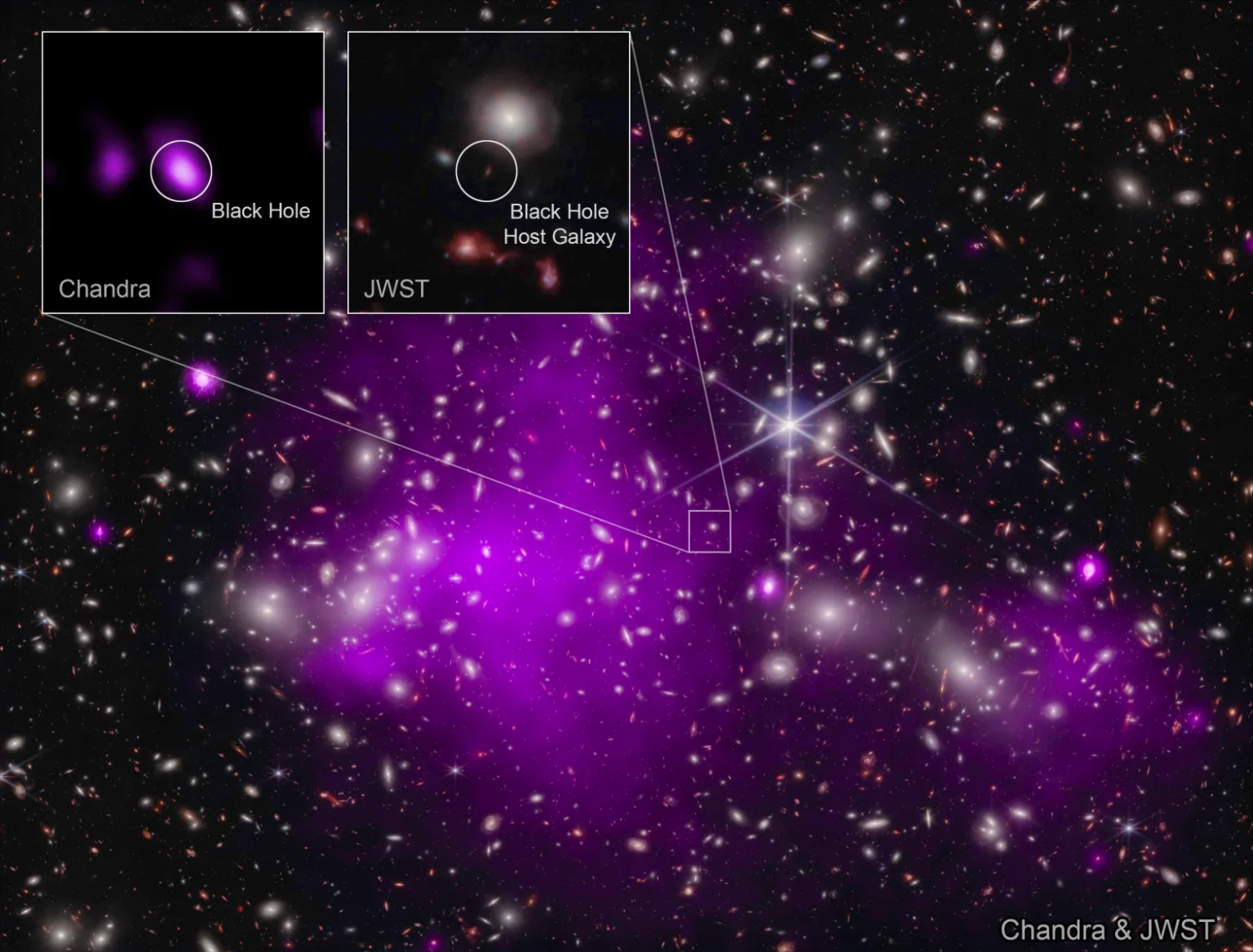 NASA Webb, Chandra Khám phá hố đen xa nhất và lâu đời nhất nasa webb chandra discover the most distant and oldest black hole yet TechTimes Vietnam NASA Webb, Chandra Khám phá hố đen xa nhất và lâu đời nhất