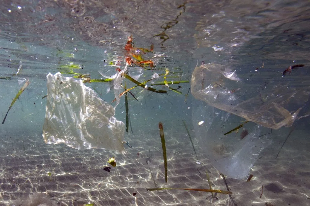 revolutionary biodegradable self healing plastic unveiled by university of tokyo scientists jpg TechTimes Vietnam Nhựa tự phục hồi, phân hủy sinh học mang tính cách mạng được các nhà khoa học Đại học Tokyo công bố