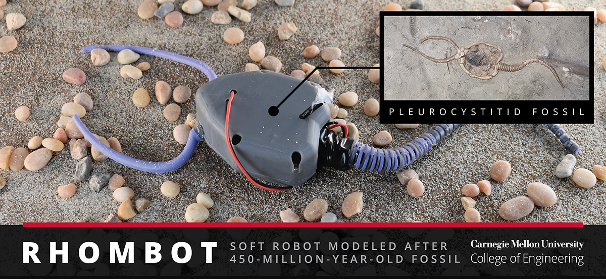 robotics meets paleontology how a 450 million year old organism is being modernized for softbotics TechTimes Vietnam Robotics đáp ứng cổ sinh vật học: Làm thế nào một sinh vật 450 triệu năm tuổi đang được hiện đại hóa cho softbotics