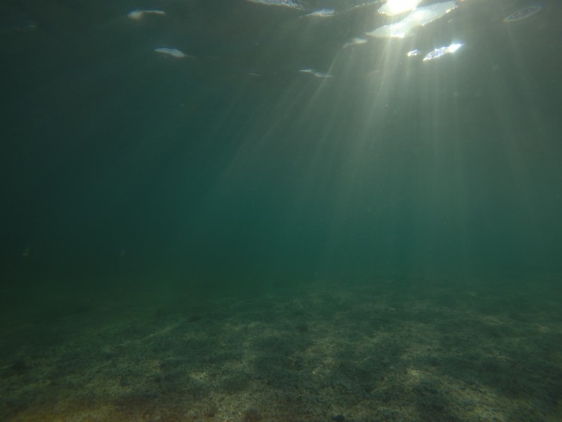 Xác tàu đắm San Jose