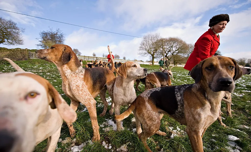 An unidentified woman stands next to dog