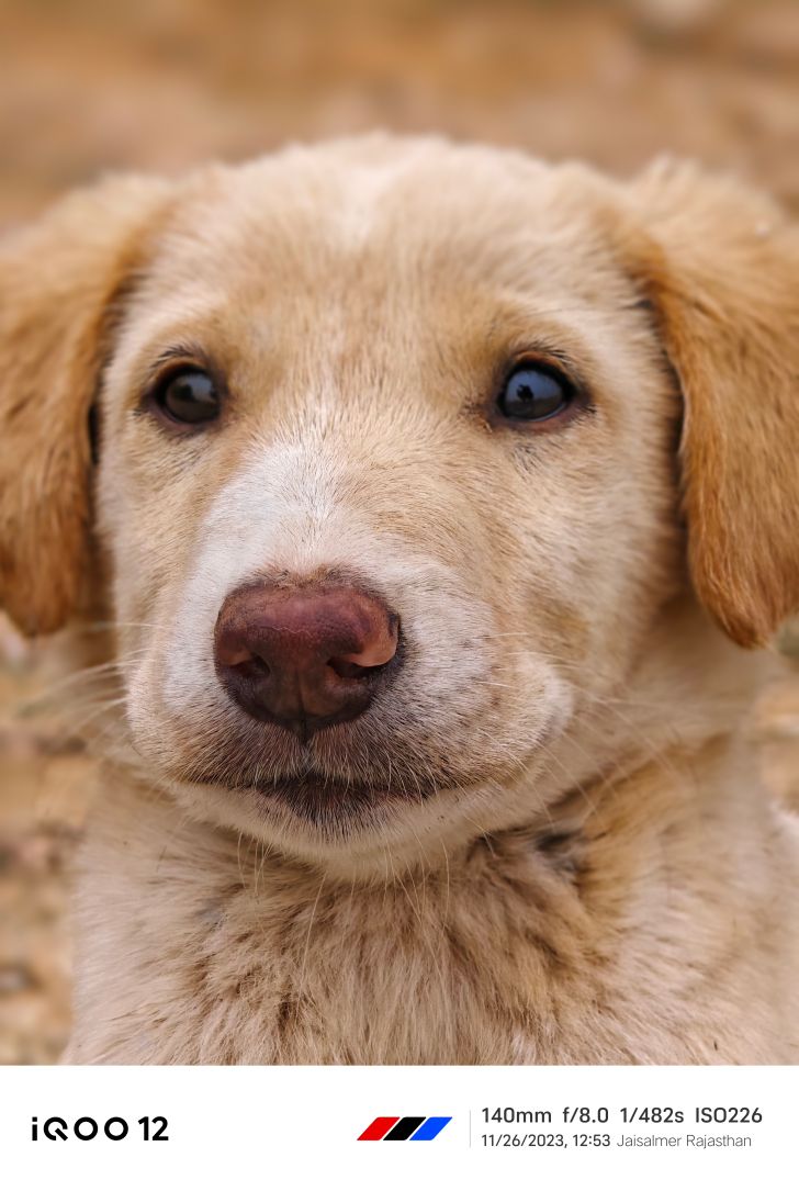 1702431322 984 Xem truoc may anh iQOO 12 Xem cac mau may TechTimes Vietnam Điện thoại chụp ảnh lộ diện iQOO 12 trước khi ra mắt tại Ấn Độ