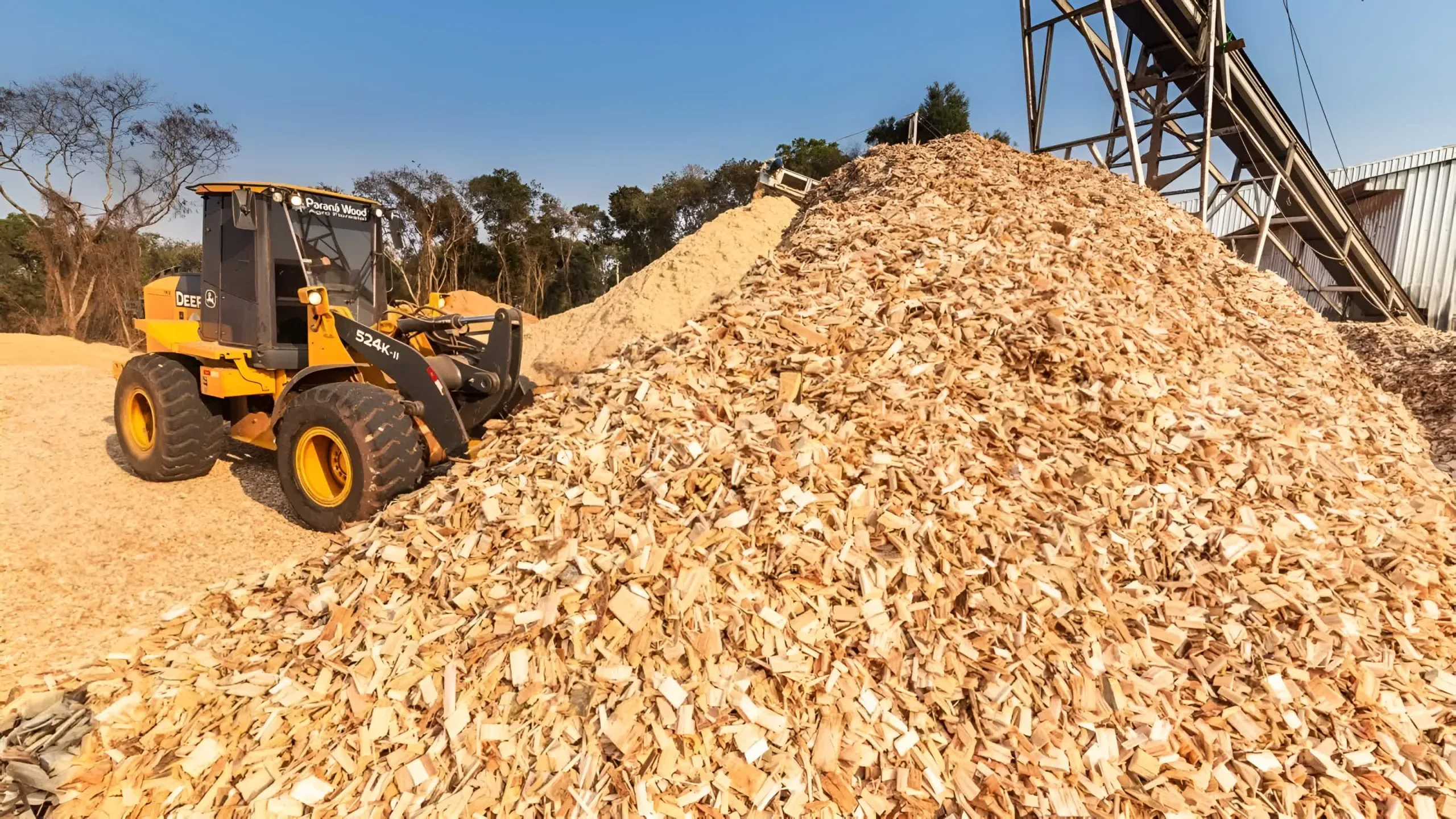 Startup này sử dụng dăm gỗ để làm than chì cho pin EV This startup uses wood chips to make graphite for EV batteries