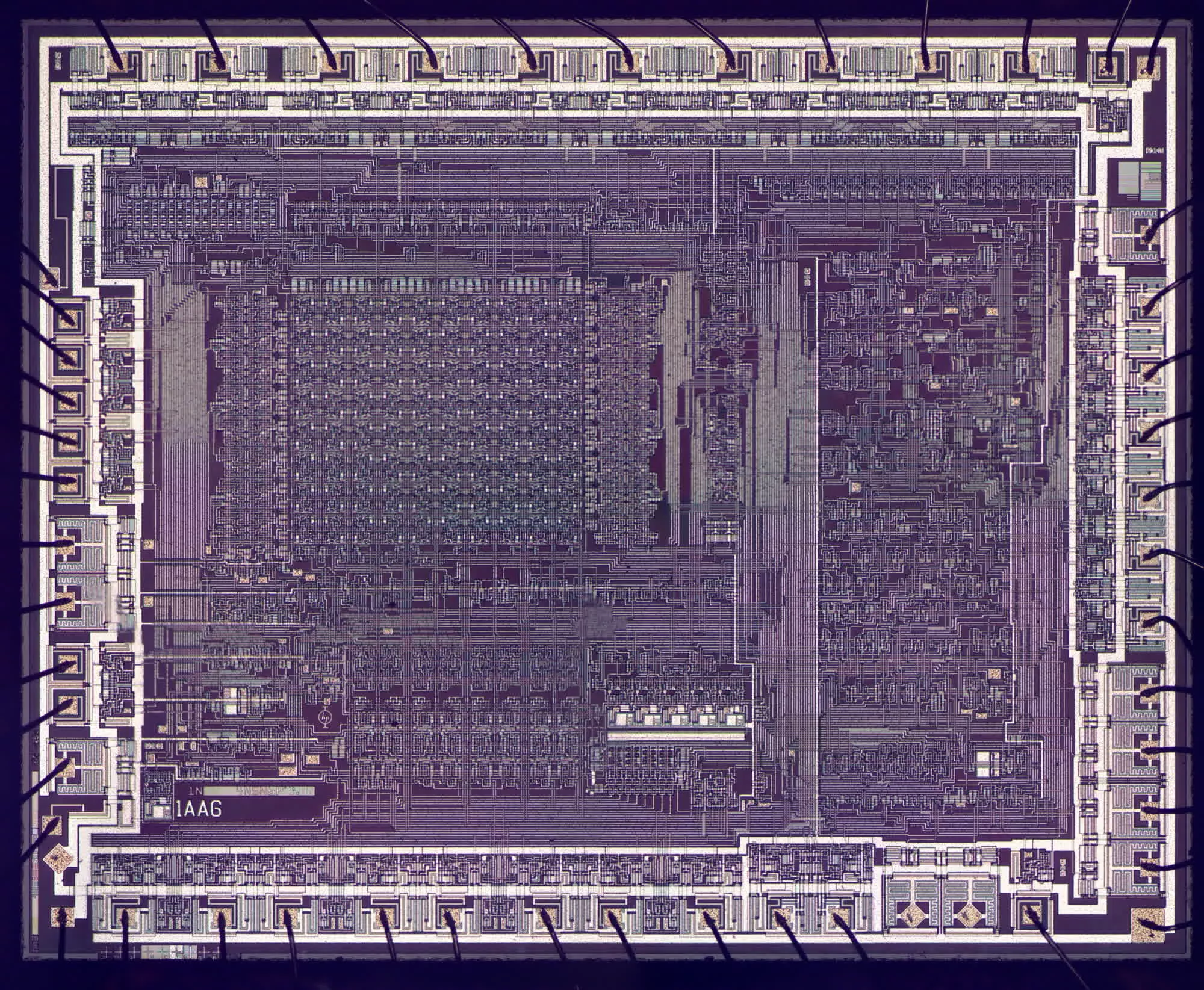 Con chip silicon trên sapphire bất thường được phát hiện trong ổ đĩa mềm HP cổ TechTimes Vietnam Con chip silicon tren sapphire bat thuong duoc phat hien TechTimes Vietnam Con chip silicon trên sapphire bất thường được phát hiện trong ổ đĩa mềm HP cổ