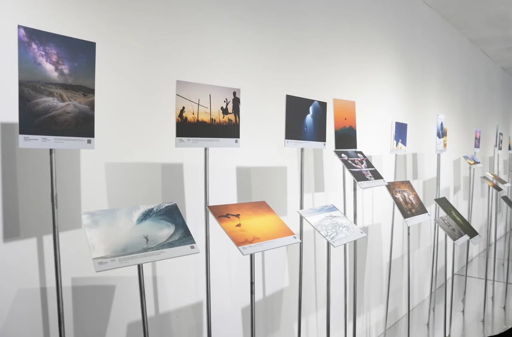 Viewsonic lần đầu tổ chức triển lãm nghệ thuật colorpro award rise tại việt nam