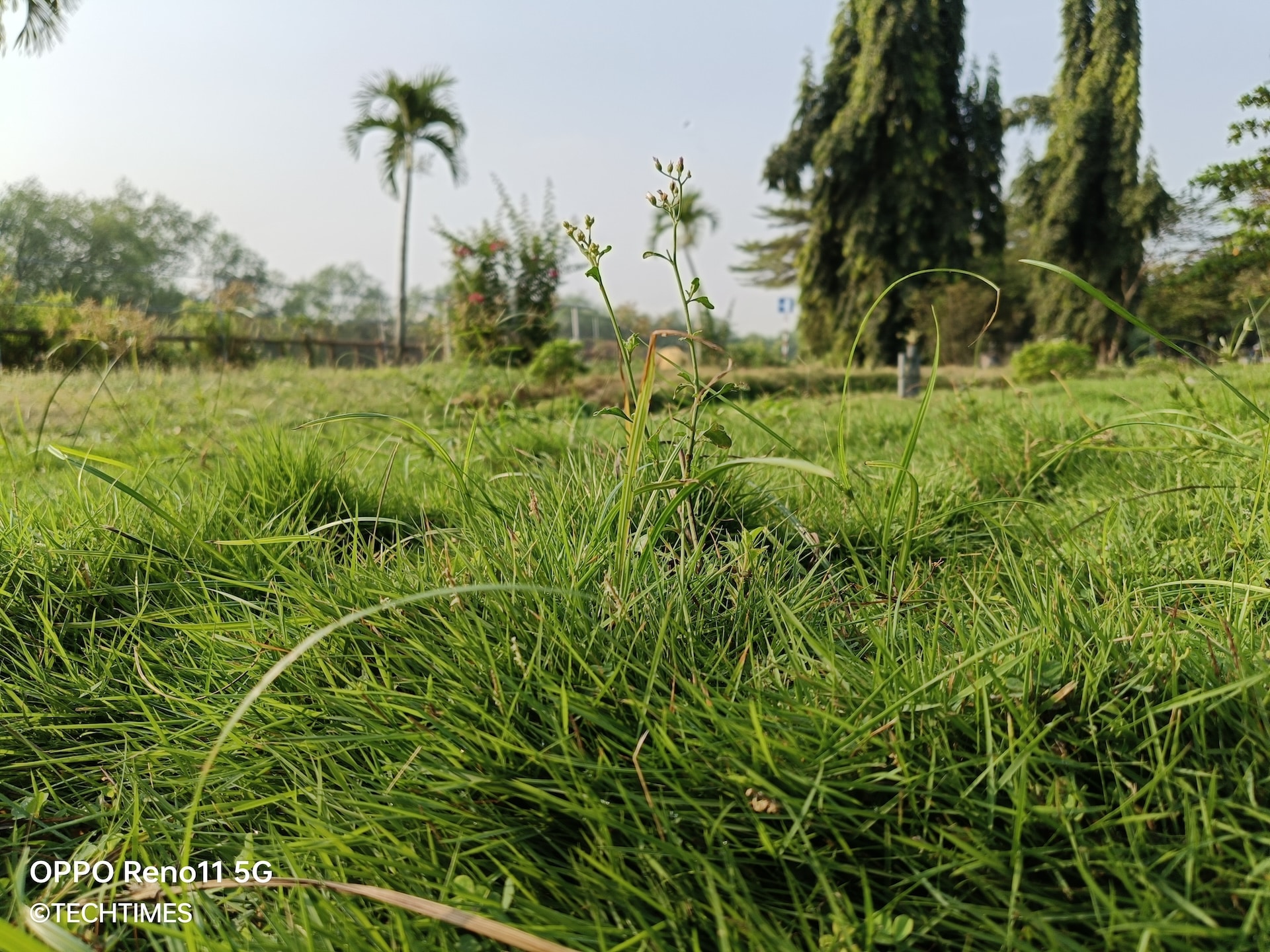 IMG20240113082340 TechTimes Vietnam Đánh giá OPPO Reno11 Pro 5G và Reno11 5G: Mở màn 2024 ấn tượng