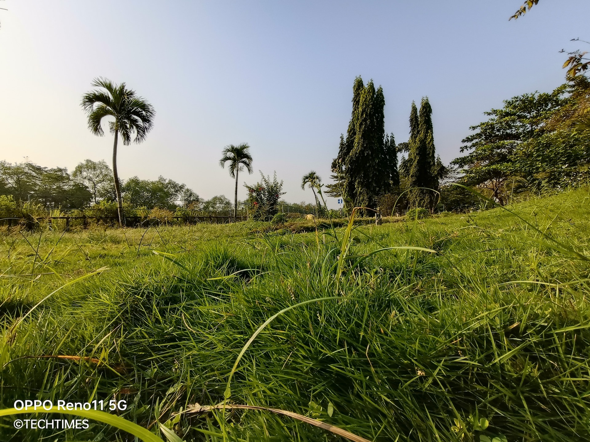 IMG20240113082344 TechTimes Vietnam Đánh giá OPPO Reno11 Pro 5G và Reno11 5G: Mở màn 2024 ấn tượng