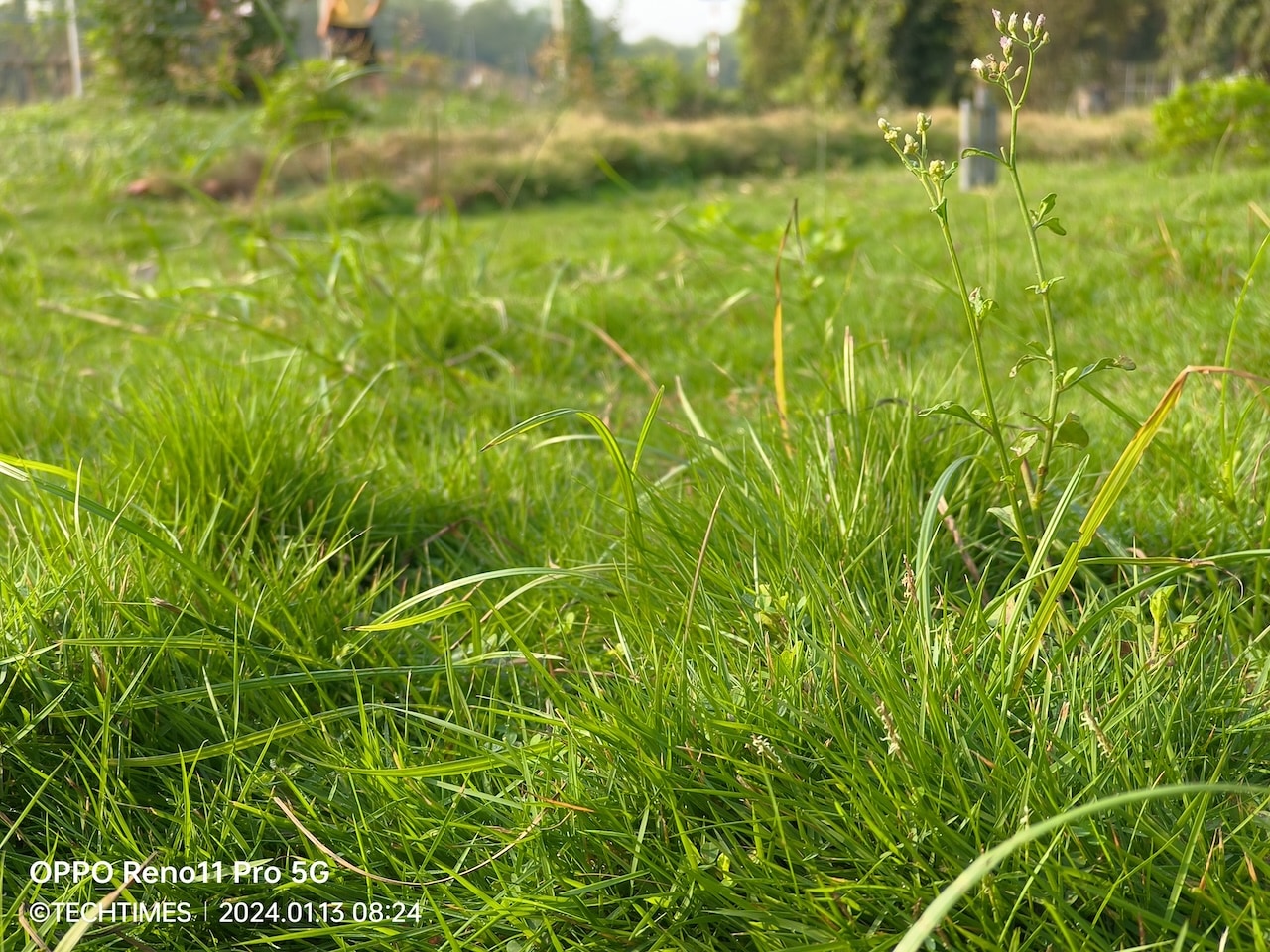 IMG20240113082411 TechTimes Vietnam Đánh giá OPPO Reno11 Pro 5G và Reno11 5G: Mở màn 2024 ấn tượng