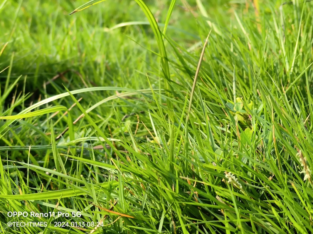 IMG20240113082415 TechTimes Vietnam Đánh giá OPPO Reno11 Pro 5G và Reno11 5G: Mở màn 2024 ấn tượng