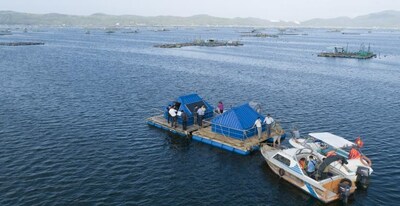 Đại học Công nghệ Sydney (UTS) hợp tác với các nhà nghiên cứu của đại học Việt Nam tạo ra giải pháp quan trắc nước cho lĩnh vực nuôi trồng thủy sản Dai hoc Cong nghe Sydney UTS hop tac voi cac TechTimes Vietnam Đại học Công nghệ Sydney (UTS) hợp tác với các nhà nghiên cứu của đại học Việt Nam tạo ra giải pháp quan trắc nước cho lĩnh vực nuôi trồng thủy sản