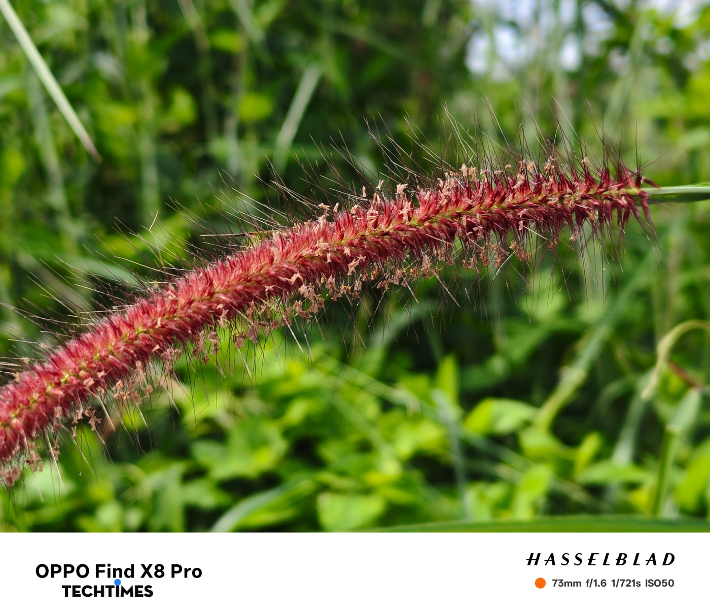 Nhờ thao tác zoom với nút cứng...