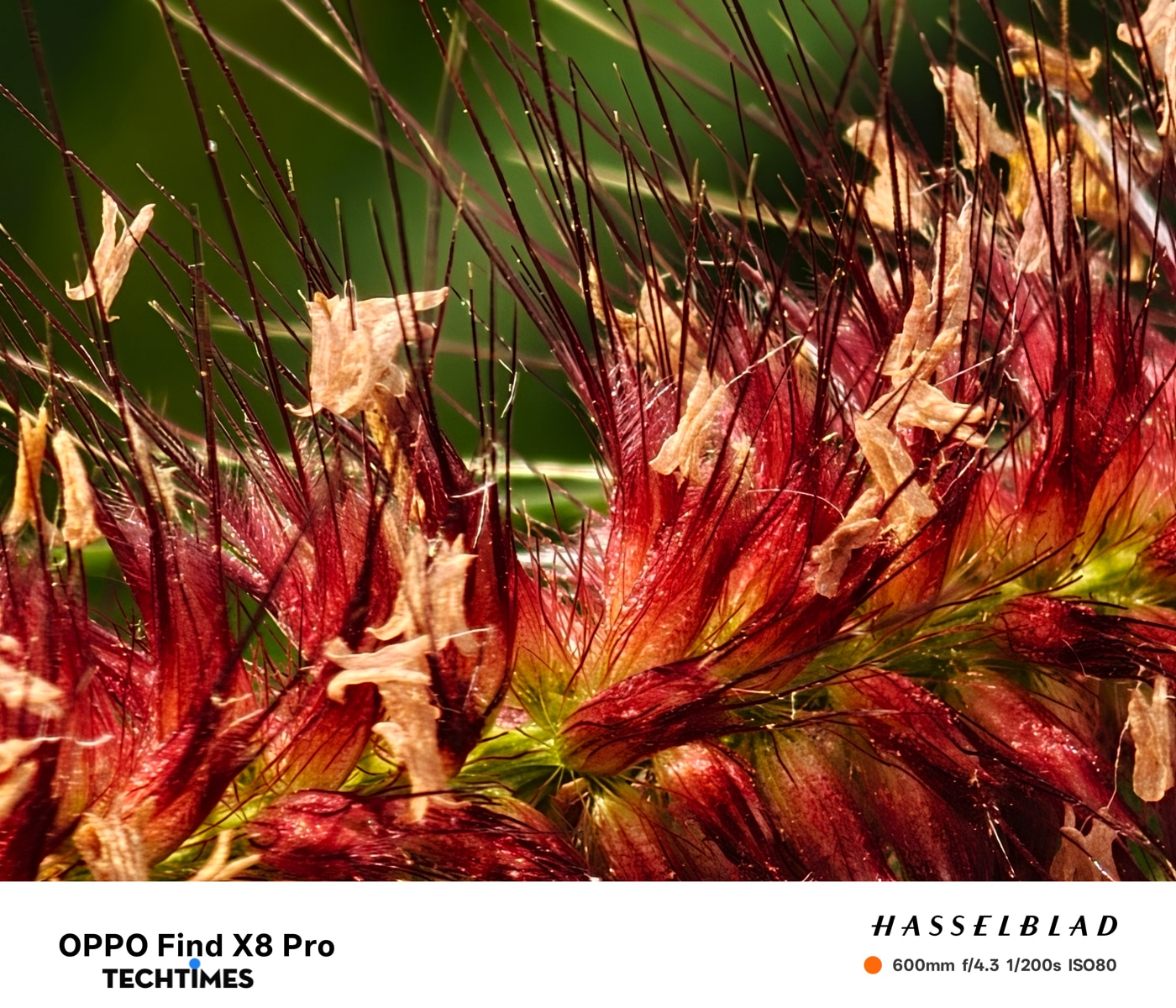 ... mà khả năng ghi lại hình ảnh chất lượng, giảm khả năng bị rung tay.