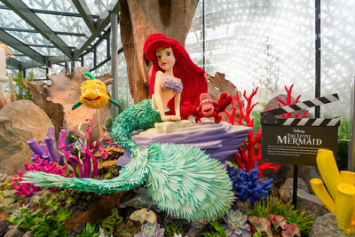 DISNEY GARDEN OF WONDER CHINH THUC MO CUA TAI GARDENS TechTimes Vietnam DISNEY GARDEN OF WONDER CHÍNH THỨC MỞ CỬA TẠI GARDENS BY THE BAY, SINGAPORE