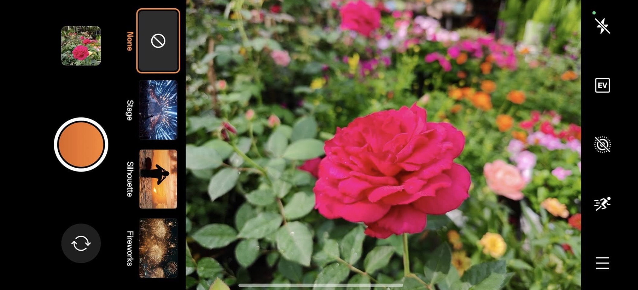 Oppo Find X8 Pro: Ấn tượng ColorOS 15 và tính năng AI ưu việt TechTimes Vietnam Giao diện chụp ảnh cũng tối ưu và dễ sử dụng nhờ hỗ trợ thao tác cử chỉ.