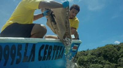 Du an Tro ve nha cua FIFCO Nho AI Costa TechTimes.vn Dự án Trở về nhà của FIFCO: Nhờ AI, Costa Rica trả lại hơn 36.000 vỏ sò về môi trường sống của chúng để phục hồi hệ sinh thái biển
