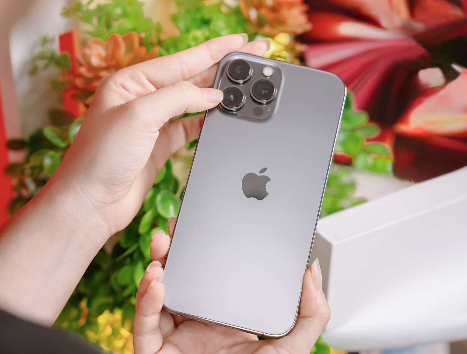 Sắm iPhone cũ dịp Tết 2025 tại Di Động Việt: Giá hời, quà lớn, cơ hội trúng vàng 9999 TechTimes Vietnam Sắm iPhone cũ dịp Tết 2025 tại Di Động Việt: Giá hời, quà lớn, cơ hội trúng vàng 9999