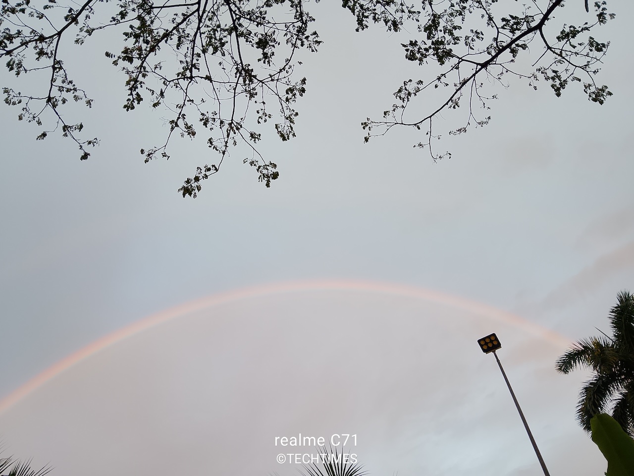 Ở điều kiện thiếu sáng, màu sắc tái tạo vẫn khá ổn, không bị bệt và nhiễu hạt.