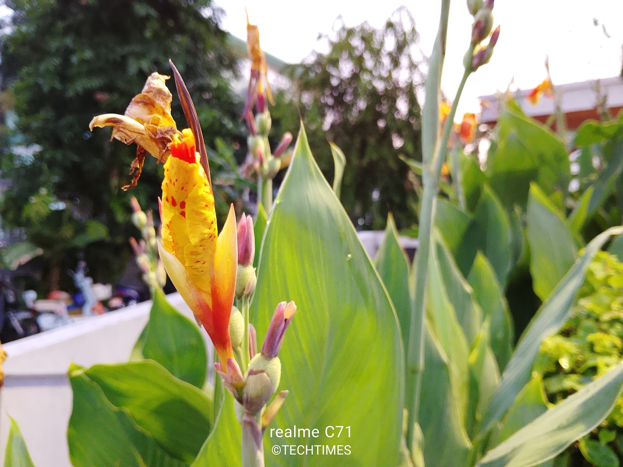 Ở điều kiện thiếu sáng, màu sắc tái tạo vẫn khá ổn, không bị bệt và nhiễu hạt.